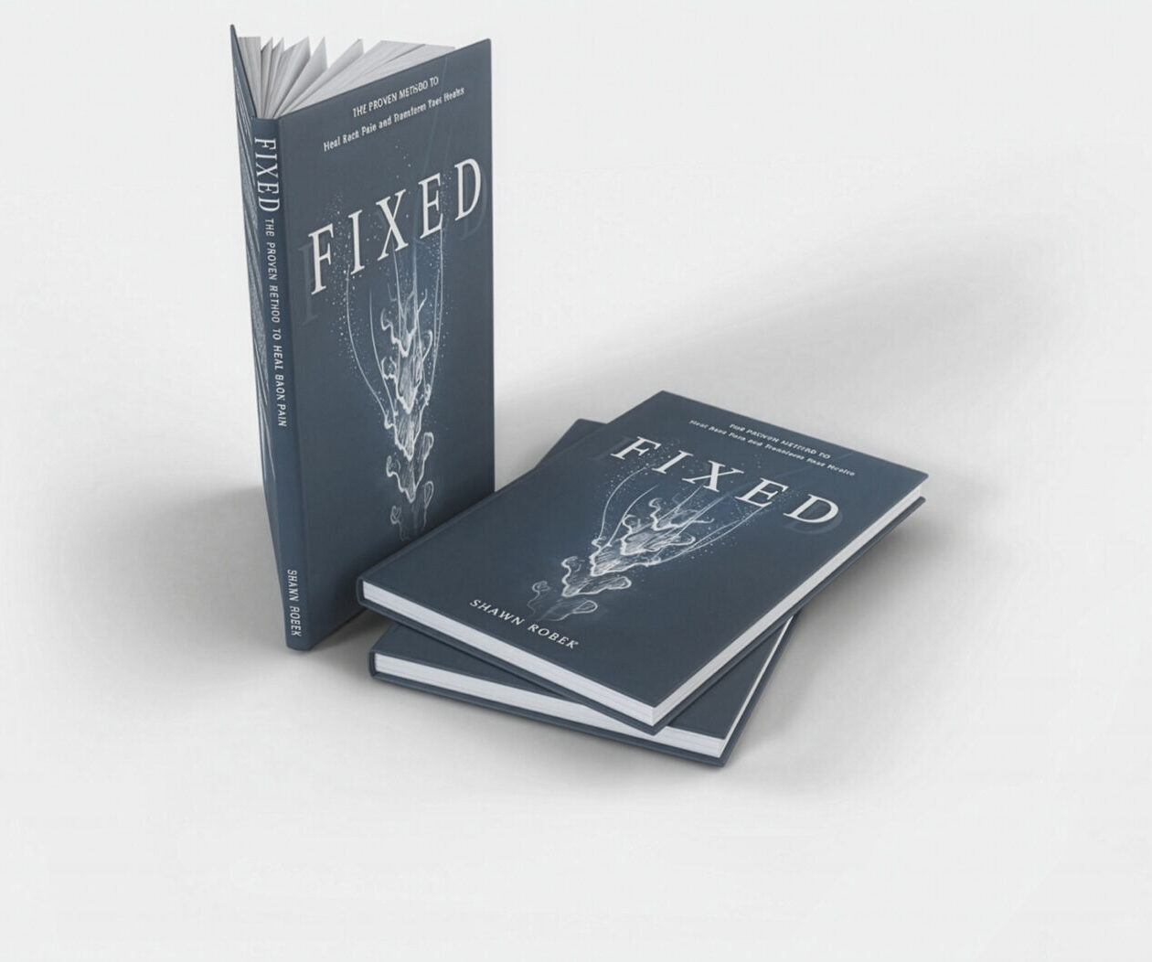 fixed book by shawn robek, permanent healing for chronic back pain