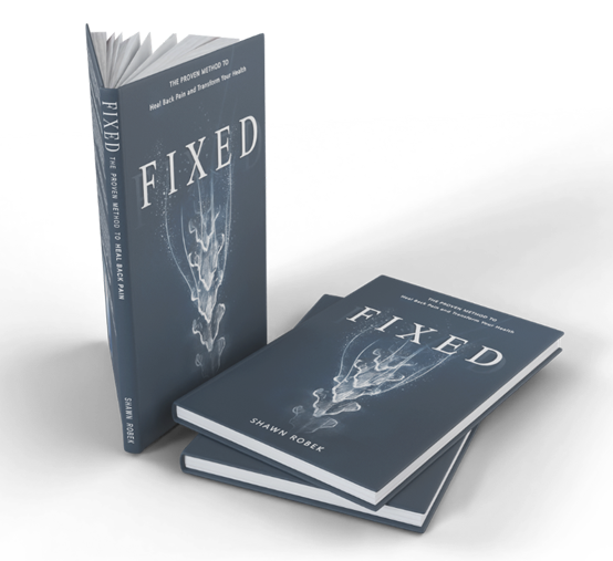 fixed book by shawn robek