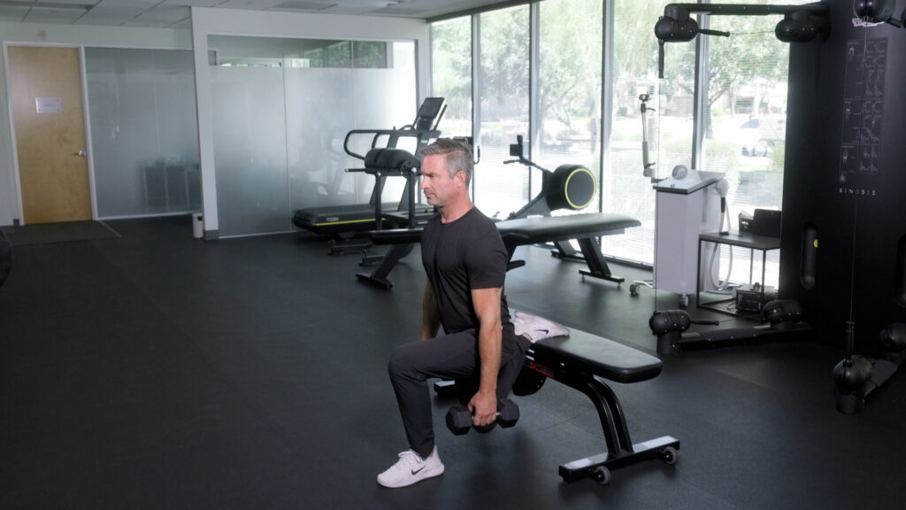 Weighted split squat end